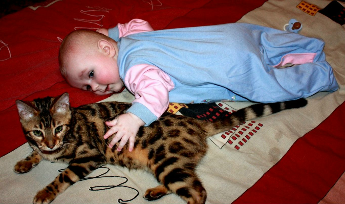 Татьяна Синицына | Санкт-Петербург