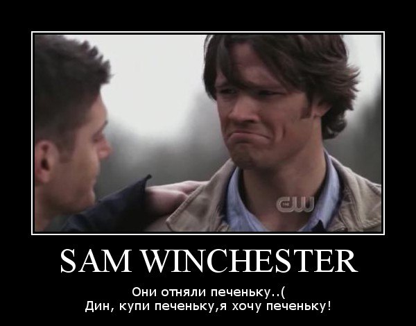 Даніель Висоцький | Львов