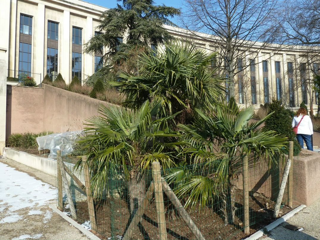 Мария Завьялова | Москва