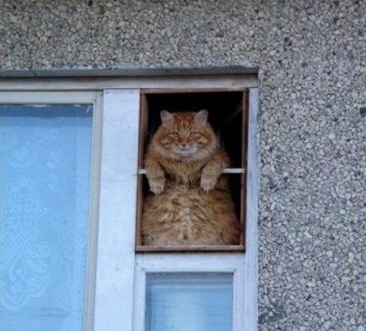 Елена Усова | Уфа