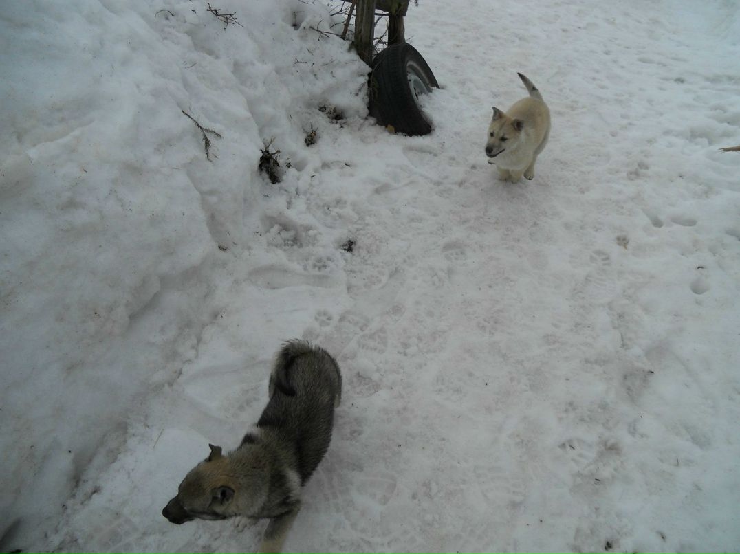 Константин Подопригора Kosto | Пермь