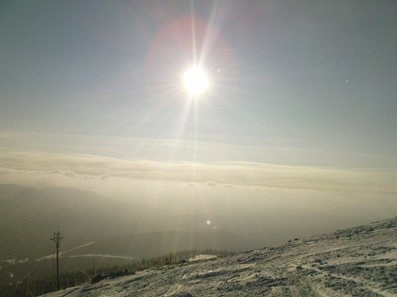 Серёжа Гоцев 
