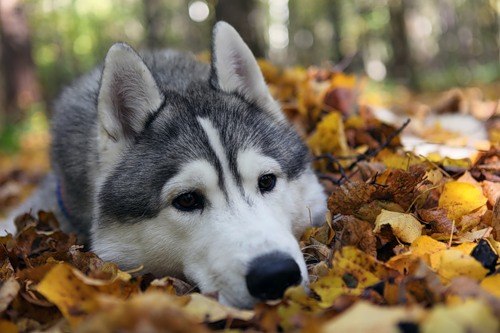 Кира Радина | Москва