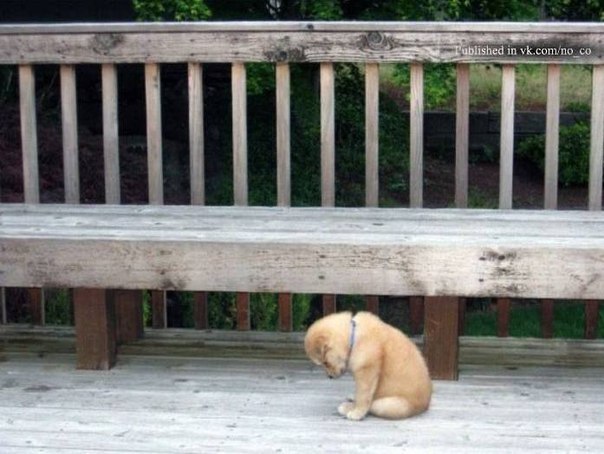 Федор Стрижков | Москва