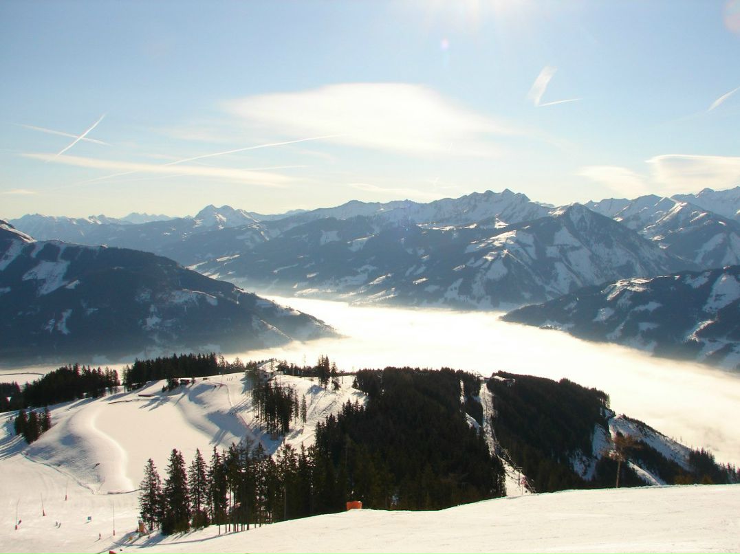 Роман Никитин | Москва