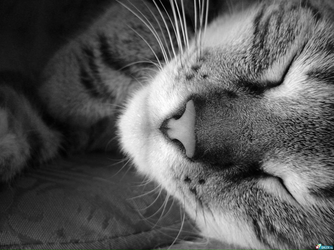 Олег Волков | Ижевск