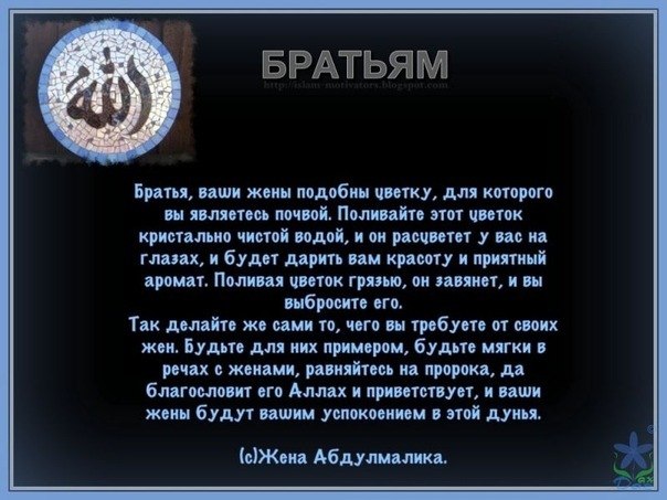 Алим Карданов | 