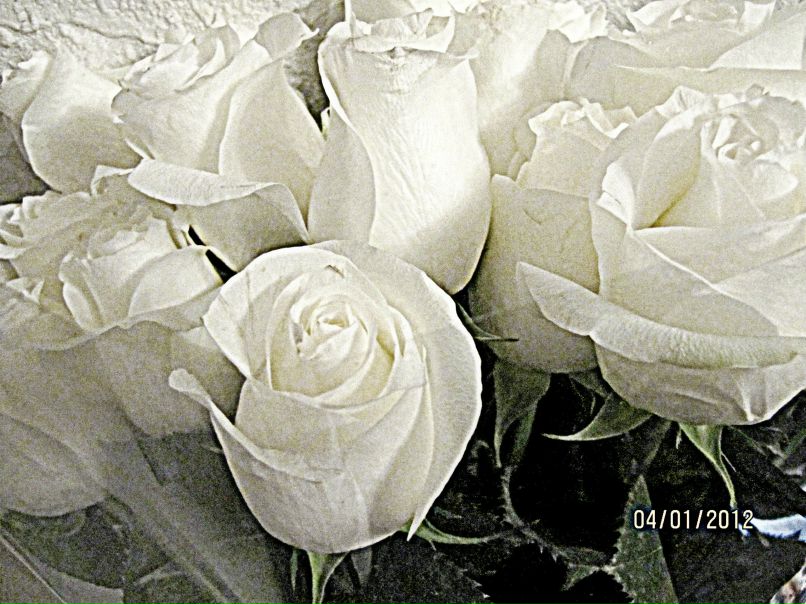 Dilya Babaeva | Москва