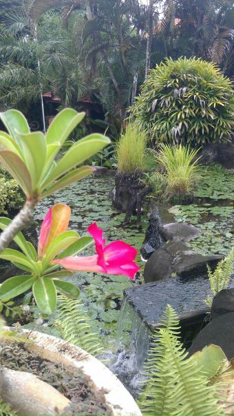 №163, Ирина Салтыкова, Москва №163, Ирина Салтыкова, Москва