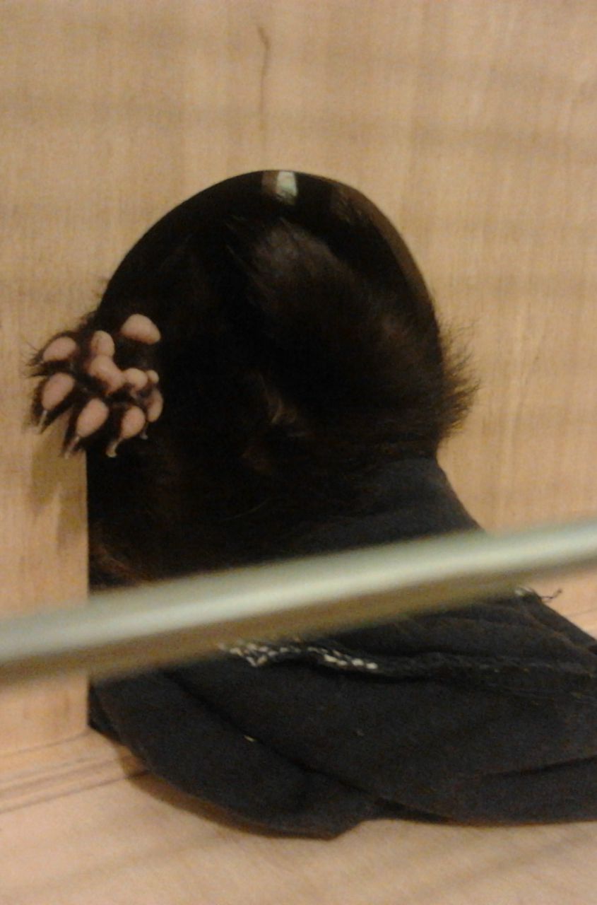 Катя Дюмина | Киев