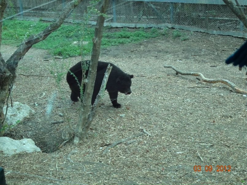 Светлана Степанова | Северодвинск