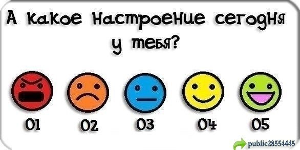 №60, Елизавета Токмань №60, Елизавета Токмань