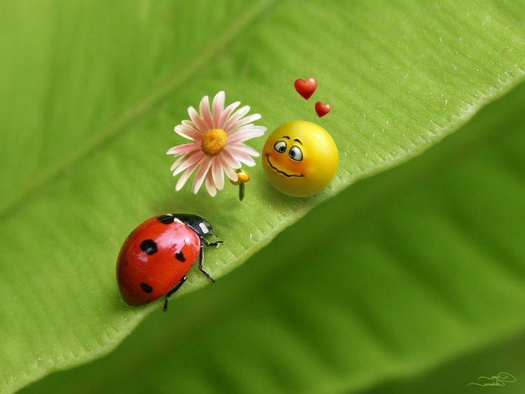 Яна Сандул | Набережные Челны