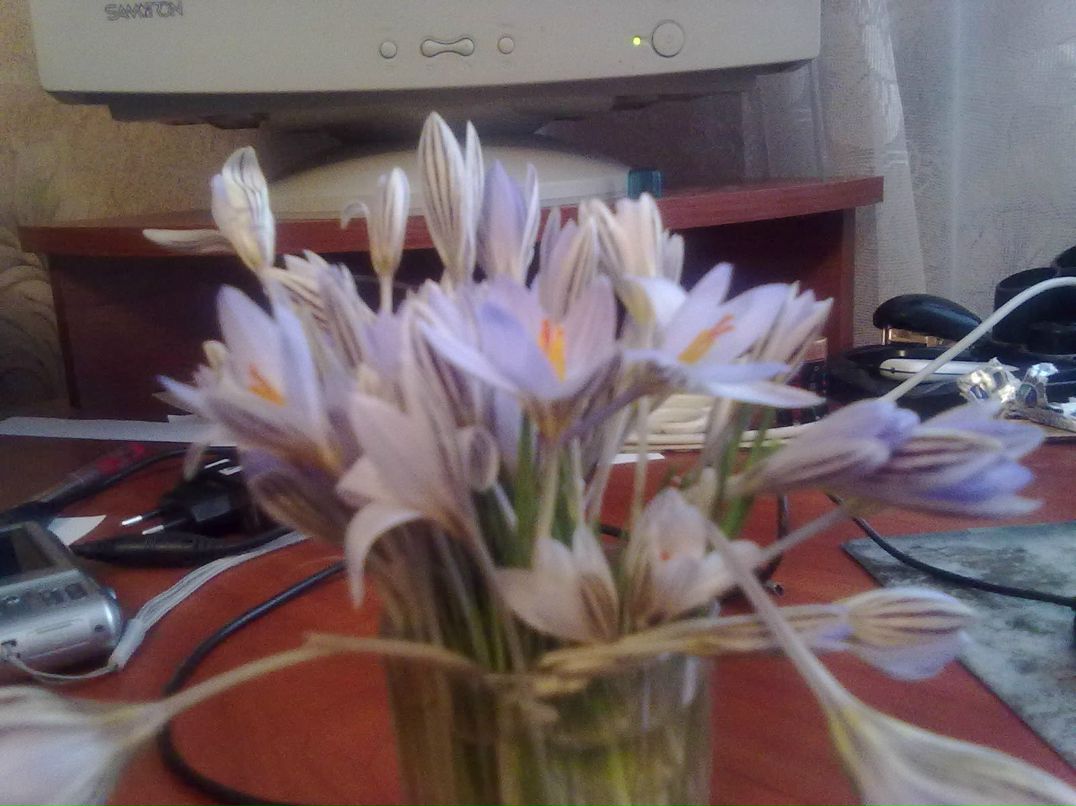 Артем Щибря | Антрацит