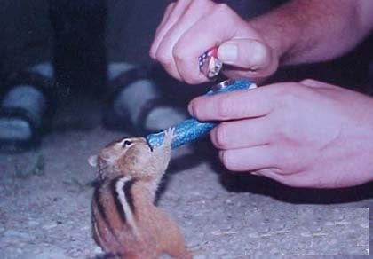 Алексей Мудрецов | Йошкар-Ола