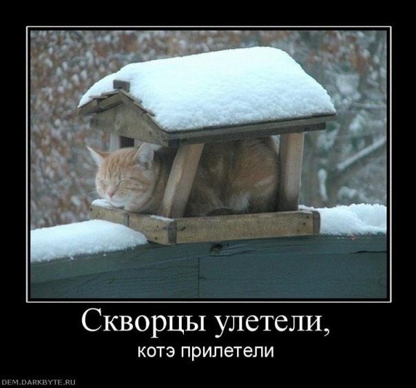 №4, Игорь Белов №4, Игорь Белов