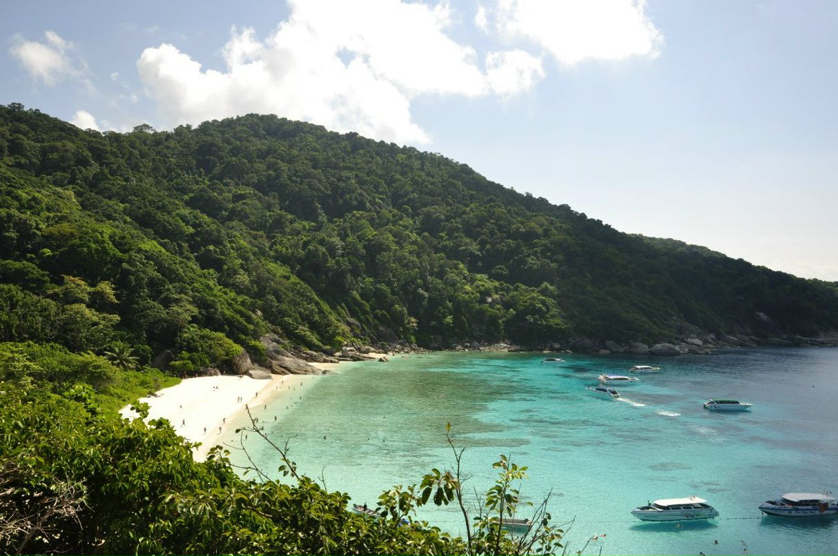 Александр Петров | Витебск