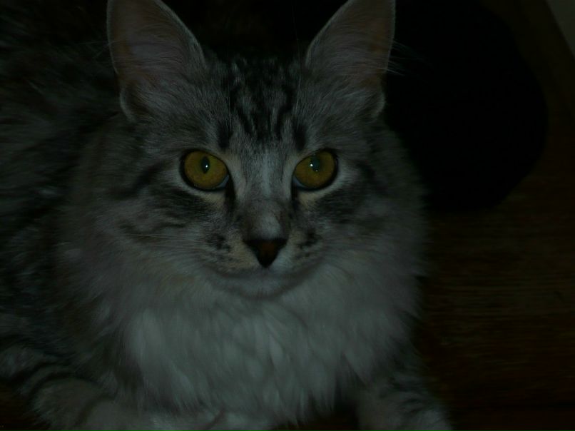 Любовь Белоцерковец | Санкт-Петербург