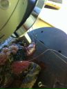 №13 Лена Миронова 27.07.1992: профиль, фото, статус - ВКонтакте