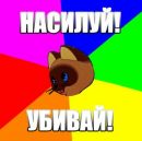 Фотография Advice Dog