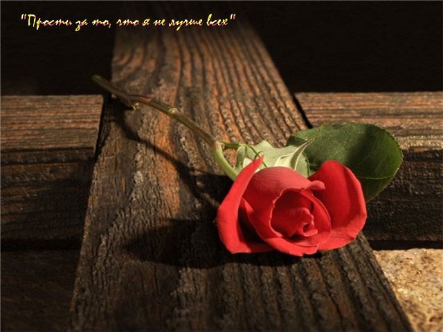 Алина Емельянова | Йошкар-Ола