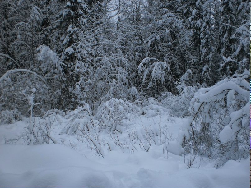 Ирина Пикалёва | Приозерск