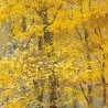 №14, Максім Науменко, 36 лет, Умань №14, Максім Науменко, 36 лет, Умань