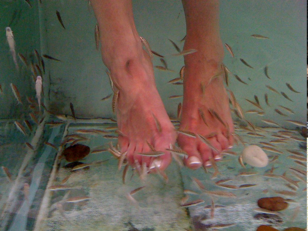 Виктория Flower | Москва