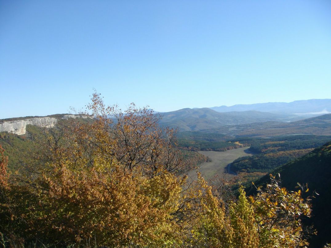 Петр Чебадухин | Москва