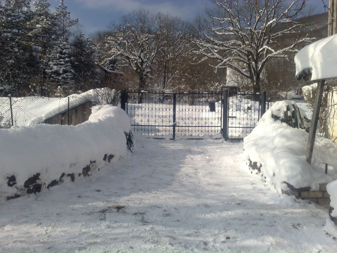 Марина Кормильцева Вячеславовна | Куринская