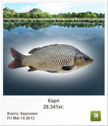 Александр Рога Витальевич | Киев