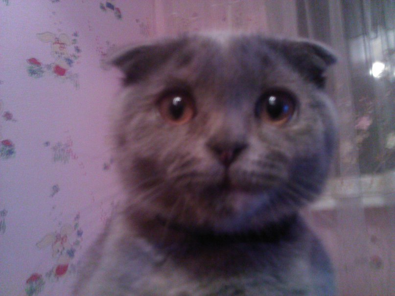 Денис Моряк | 