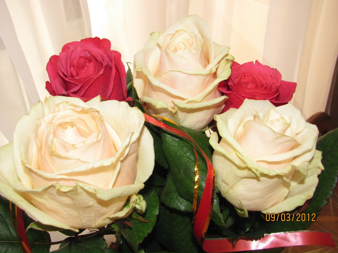 Христина Темчук | 