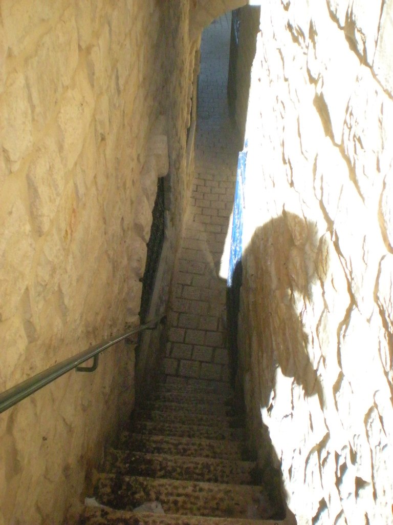 Ольга Василенко | Днепр (Днепропетровск)