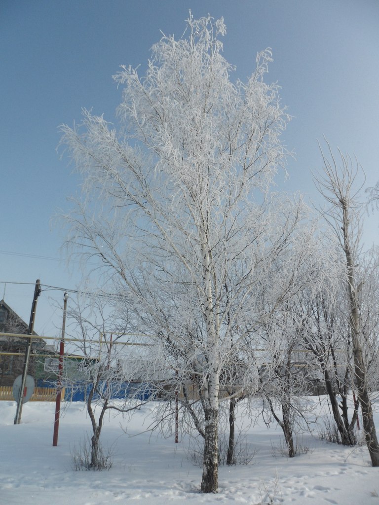 Татьяна Искибаева Сергеевна | Екатеринбург