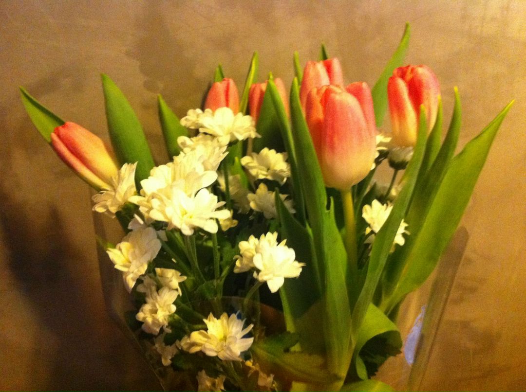 Elena Vas | Москва