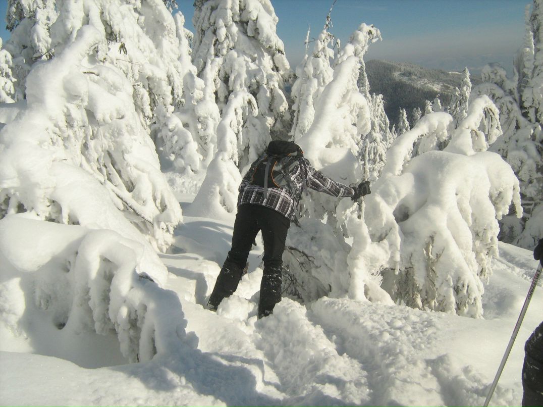 Василий Бескоровайный DOC | 
