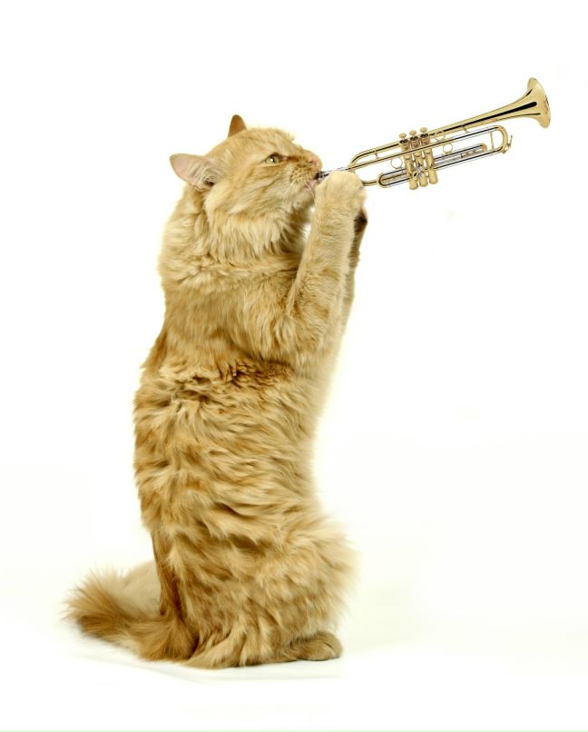 Мира Никитенко | Санкт-Петербург