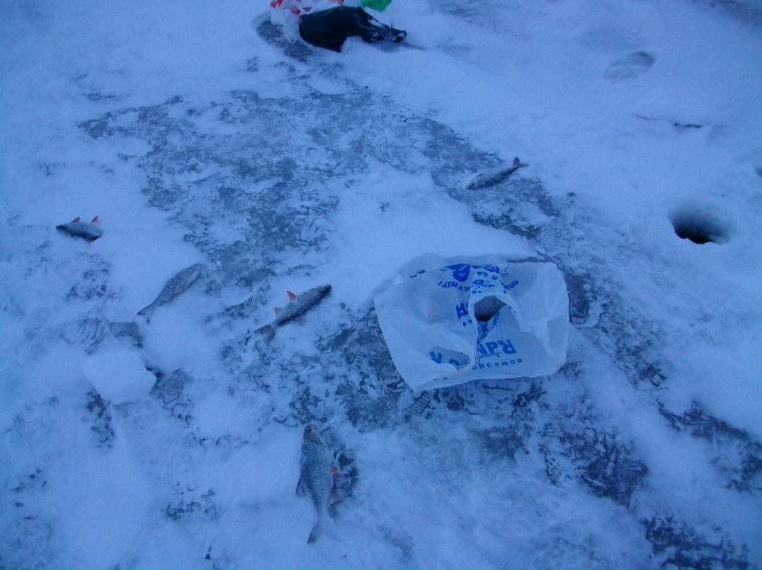 Сергей Коробов Борисович | Санкт-Петербург