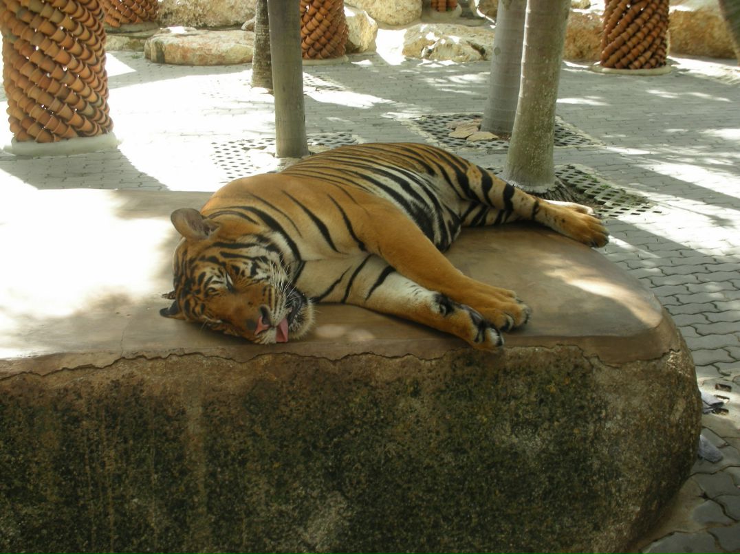 Артем Завьялов | Пермь