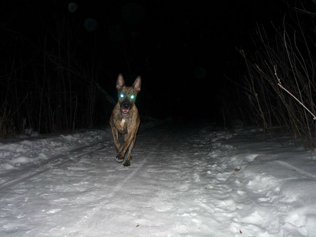 Сергей Быков | Курск