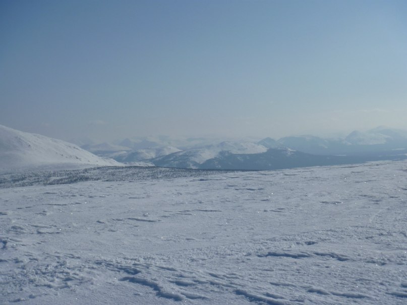 Евгений Кузнецов | 