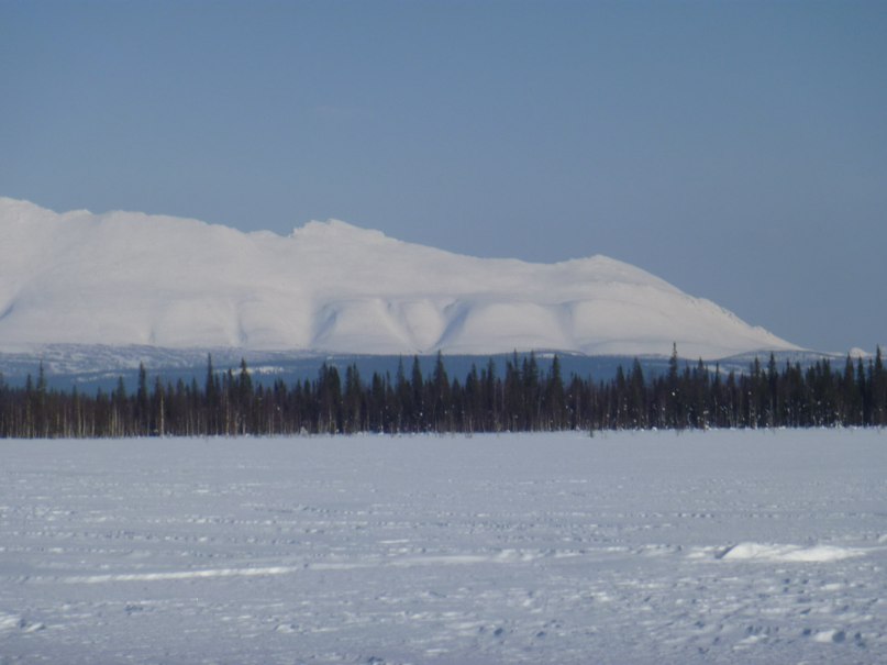 Евгений Кузнецов | 