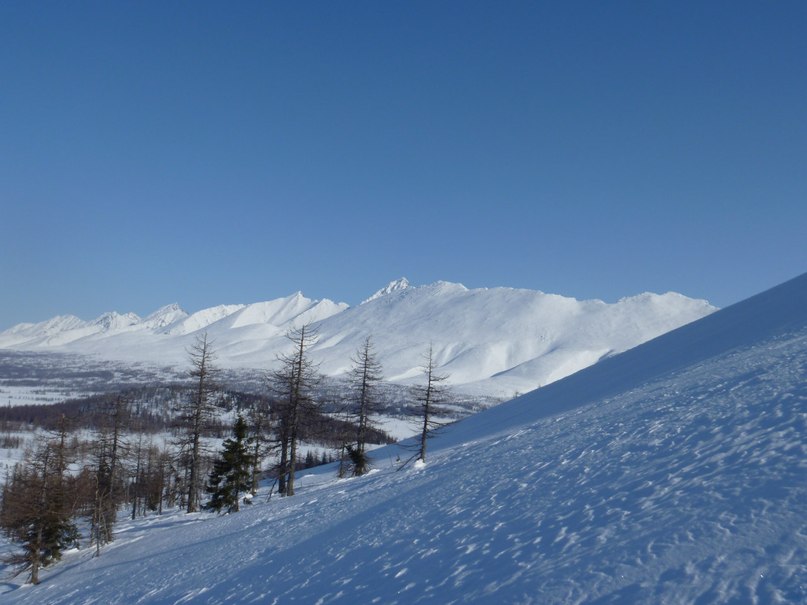 Евгений Кузнецов | 