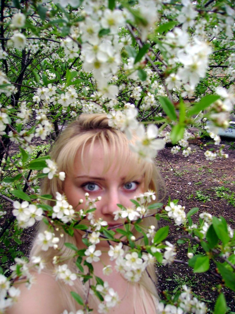 Veronika Scholz *Pantera* | Hamm