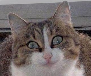 Кей Doihachiro =Danu= | 