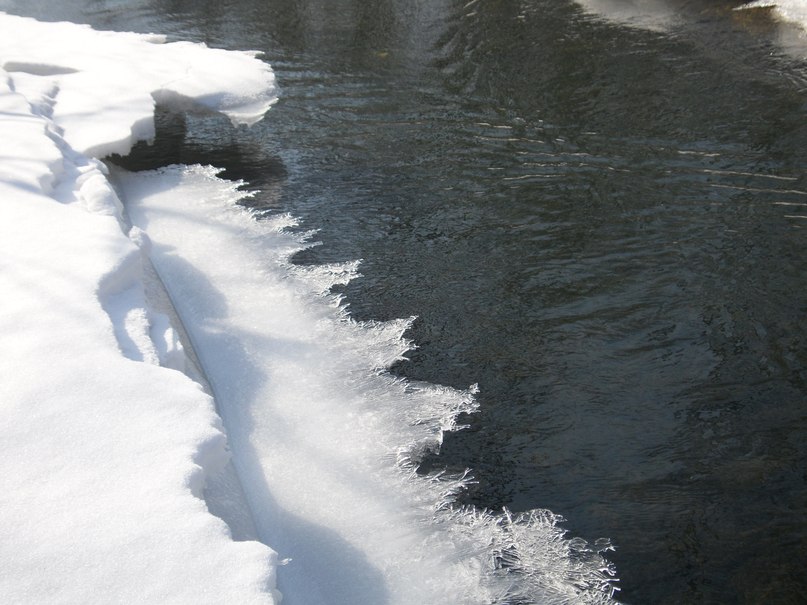 Танюшка Домбровская | Москва