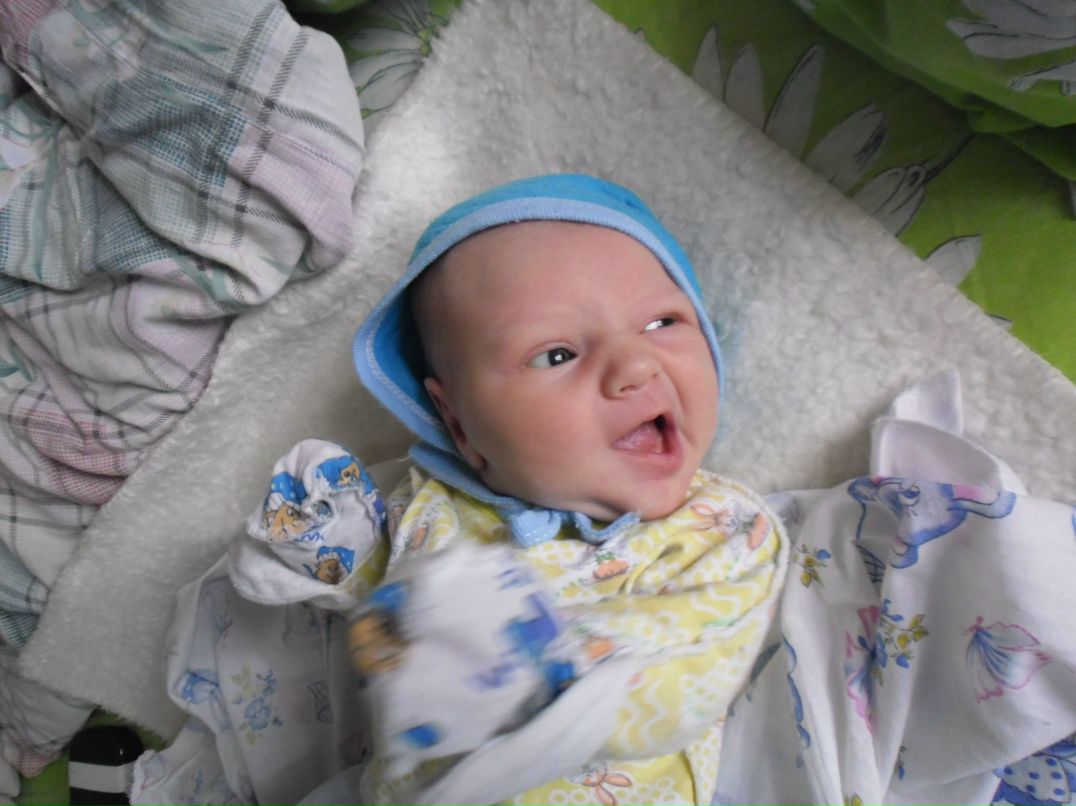 Игорь Директорчук | Васильков