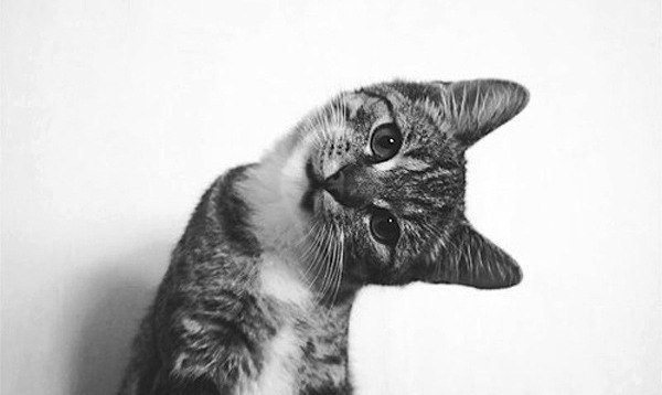 Вячеслав Бердников | Москва