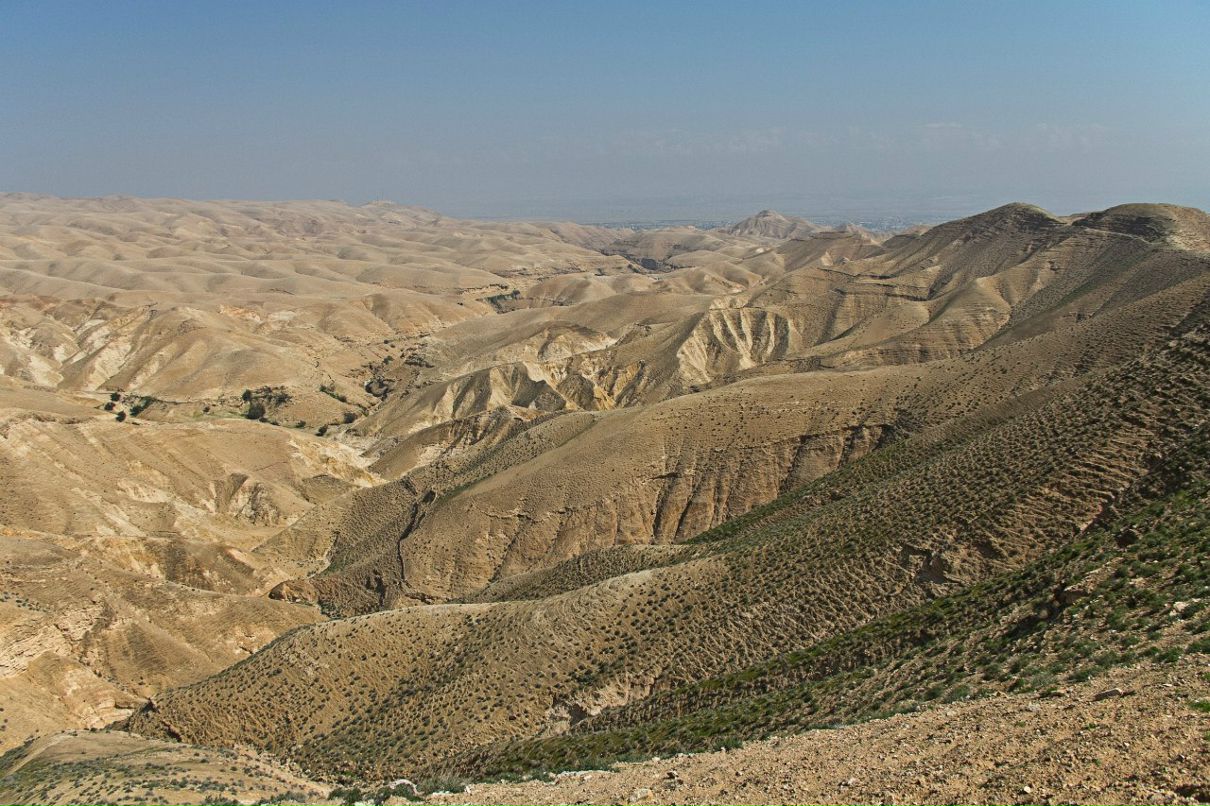 Юлия Штивельман | Таллин